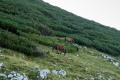 DSC04377-2