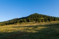 DSC9387-2