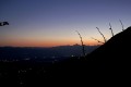 IMG_7061